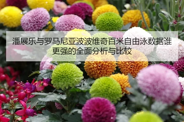 潘展乐与罗马尼亚波波维奇百米自由泳数据谁更强的全面分析与比较