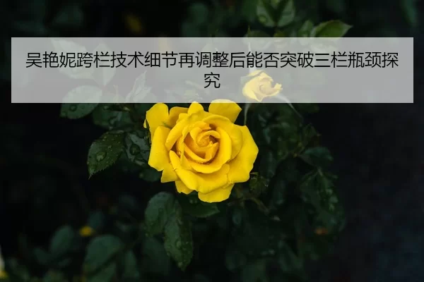 吴艳妮跨栏技术细节再调整后能否突破三栏瓶颈探究