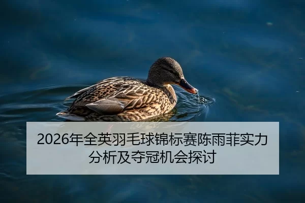 nian-quan-ying-yu-mao-qiu-jin-biao-sai-chen-yu-fei-shi-li-fen-xi-ji-duo-guan-ji-hui-tan-tao-2-579.jpg