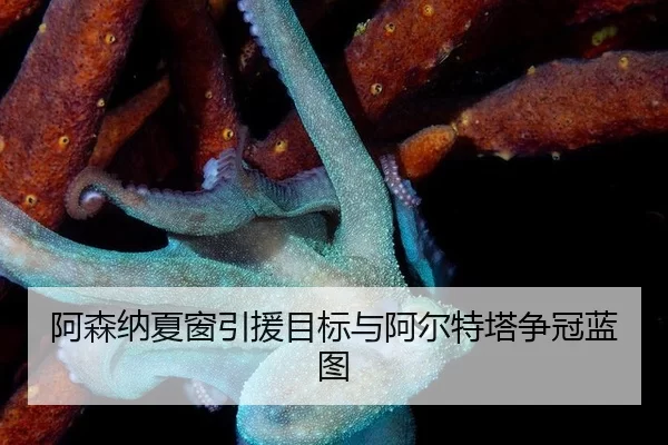 a-sen-na-xia-chuang-yin-yuan-mu-biao-yu-a-er-te-ta-zheng-guan-lan-tu-2-432.jpg