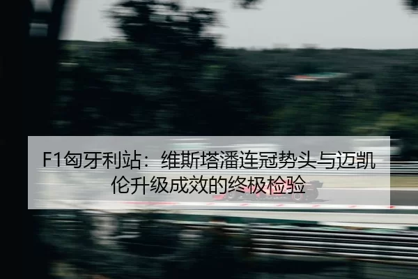 xiong-ya-li-zhan-wei-si-ta-pan-lian-guan-shi-tou-yu-mai-kai-lun-sheng-ji-cheng-xiao-de-zhong-ji-jian-yan-2-999.jpg