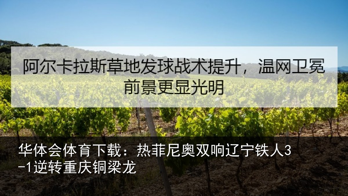 华体会体育下载:热菲尼奥双响辽宁相关情况龙