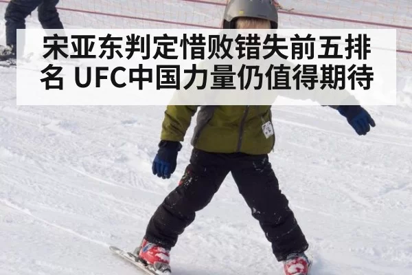 宋亚东判定惜败错失前五排名 UFC中国力量仍值得期待