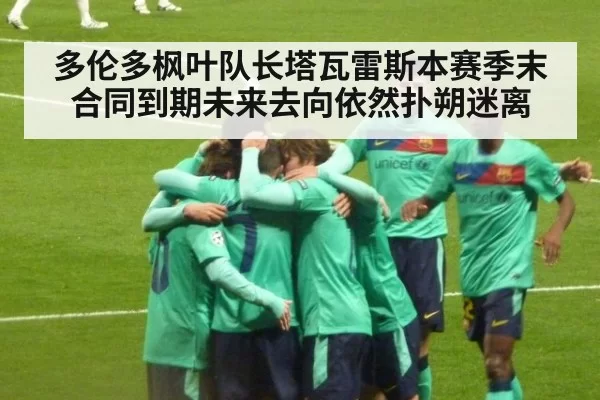 多伦多枫叶队长塔瓦雷斯本赛季末合同到期未来去向依然扑朔迷离